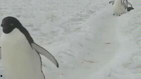 情侣小视频国产区